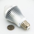 6 Watt LED A19 Globe Bulb with Motion Sensor